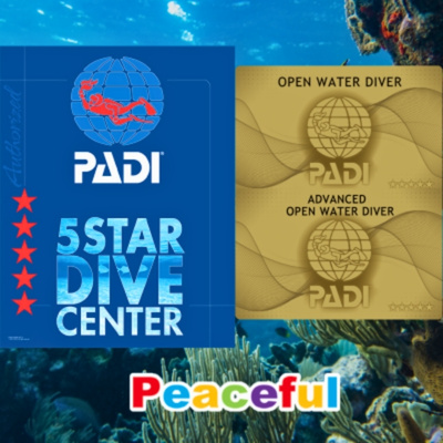 静岡・伊豆でダイビングライセンス取得をサポートするPADI5スターダイブセンターPeacefulの紹介画像