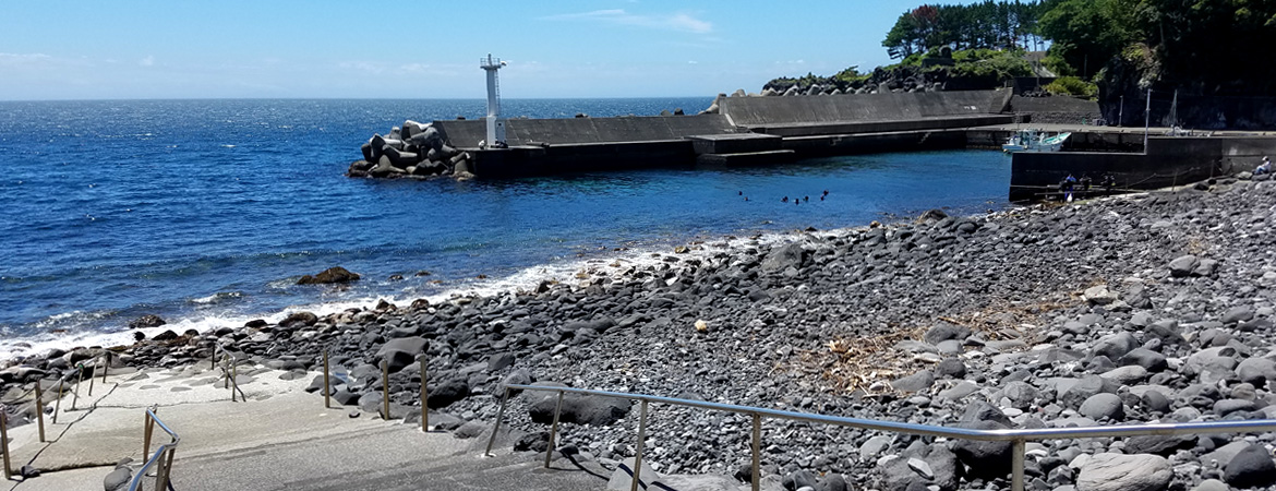八幡野の海岸と東伊豆のダイビングポイント